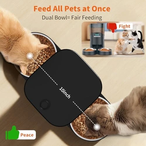 Automatic Cat Feeder for 2 Cats — Automatic Pet Feeder, HoneyGuaridan