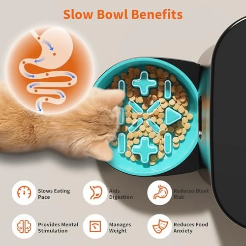Automatic Cat Feeder for 2 Cats — Automatic Pet Feeder, HoneyGuaridan