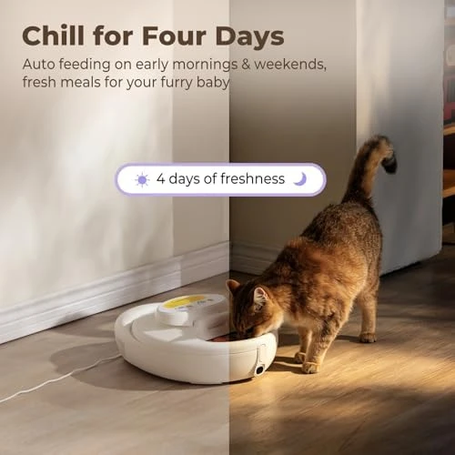 Automatic Cat Feeder for Wet Food — Automatic Pet Feeder, kubvici