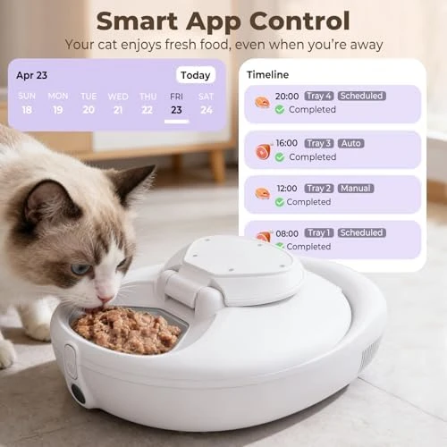 Automatic Cat Feeder for Wet Food — Automatic Pet Feeder, kubvici