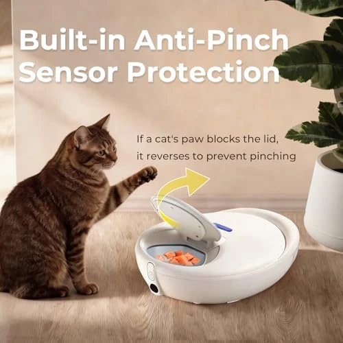 Automatic Cat Feeder Wet Food — Automatic Pet Feeder, Robotail