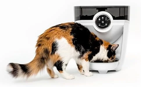 Feeder-Robot Smart Automatic Pet Feeder — Automatic Pet Feeder, Whisker