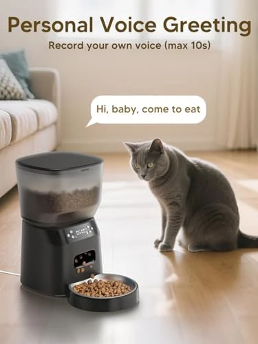 Automatic Cat Feeder and Water Fountain Set — Automatic Pet Feeder, CORGOTE