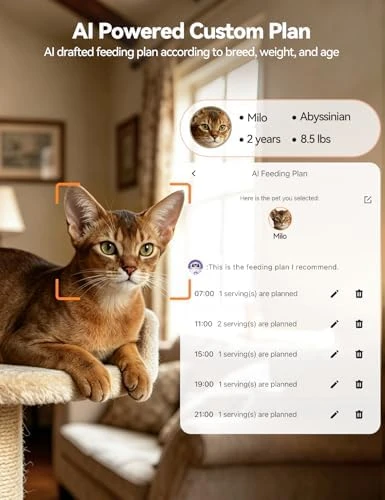 Automatic Cat Feeder with Camera — Automatic Pet Feeder, FEELNEEDY