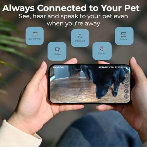 Automatic Dog and Cat Feeder — Automatic Pet Feeder, SimplePets