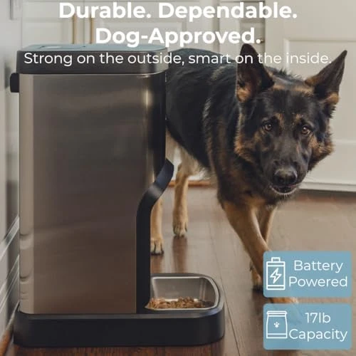 Automatic Dog and Cat Feeder — Automatic Pet Feeder, SimplePets