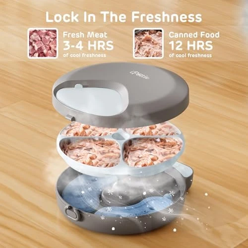 Automatic Wet Food Feeder with Four Meals Design — Automatic Pet Feeder, iPettie