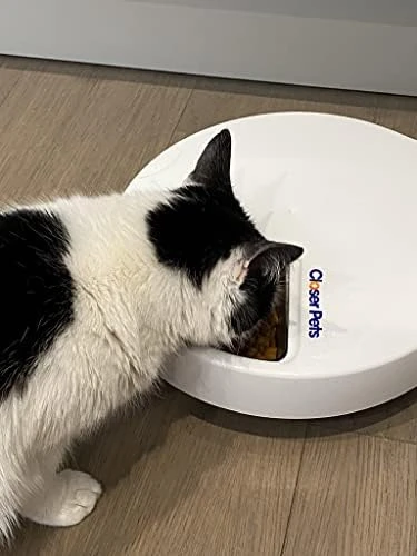 C500 5 Bowl Digital Timer-Controlled Automatic Pet Feeder - 5-Meal Feeder with Stainless Steel Bowl and Ice Packs — Automatic Pet Feeder, Closer Pets