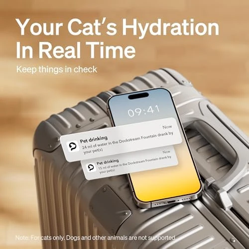 Cat Water Fountain with App Monitoring — Cat Water Fountain, PETLIBRO