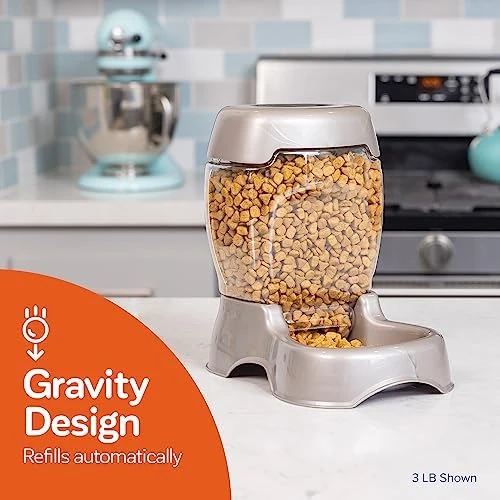 Pet Cafe Feeder for Dogs and Cats — Automatic Pet Feeder, Petmate