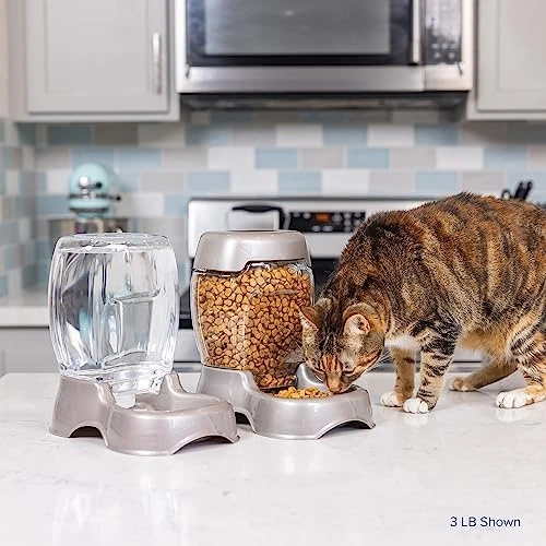 Pet Cafe Feeder for Dogs and Cats — Automatic Pet Feeder, Petmate