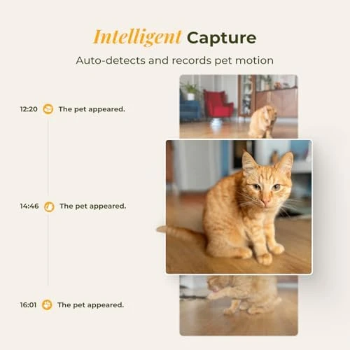 Smart Automatic Cat Feeder and Water Fountain — Automatic Pet Feeder, ARENTI