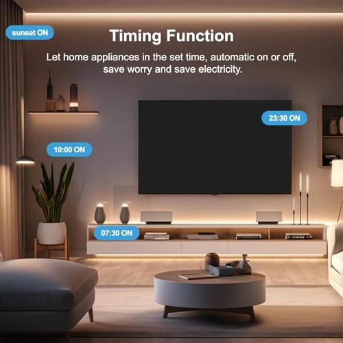 Smart Plug — Smart Plug, wooaismart