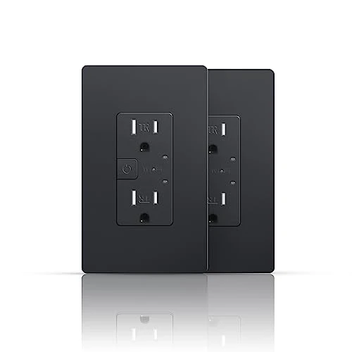 Smart Wall Outlet with 2 Individually Controlled Ports — Smart Plug, TOPELER