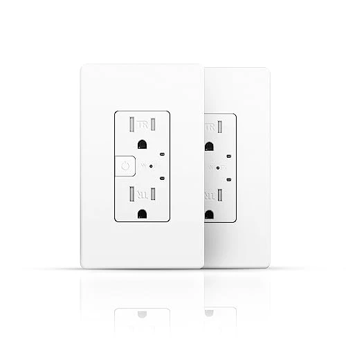 Smart Wall Outlet with 2 Individually Controlled Ports — Smart Plug, TOPELER
