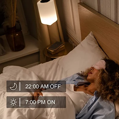 WiFi Dimmer Smart Plug — Smart Plug, Eva's Light Store
