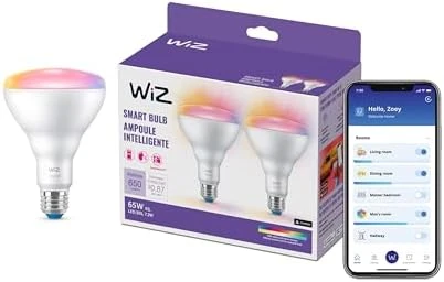 65W BR30 LED Smart Light Bulbs - 2 Pack — Smart Light Bulb, WiZ Connected