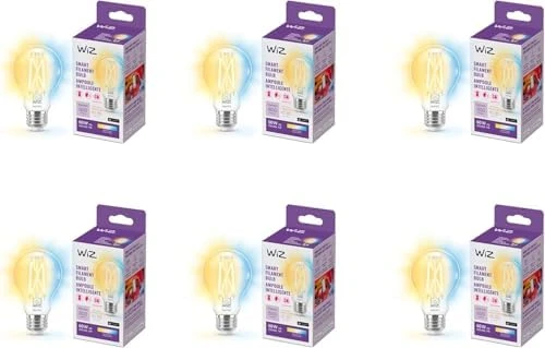 Smart LED Bulb 60W A19 Tunable White Filament — Smart Light Bulb, WiZ Connected