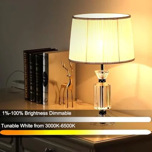 A60 Smart Light Bulb with Remote Control — Smart Light Bulb, GRV
