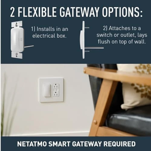 Smart Outlet with Netatmo, 20A, White — Smart Plug, Legrand