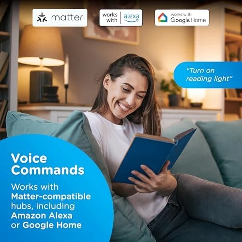 Smart Plug-in Outlet with Motion Sensor — Smart Plug, Enbrighten