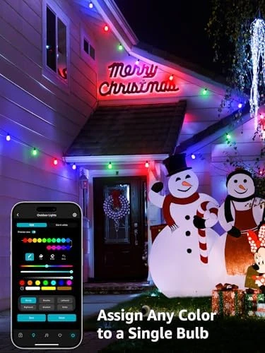 AI Smart Outdoor String Lights — LED Strip Lights, Lepro