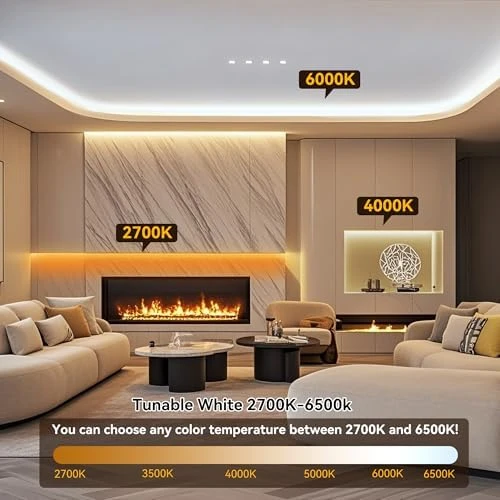 COB LED Strip Light with CCT Dimmable — LED Strip Lights, Pandery