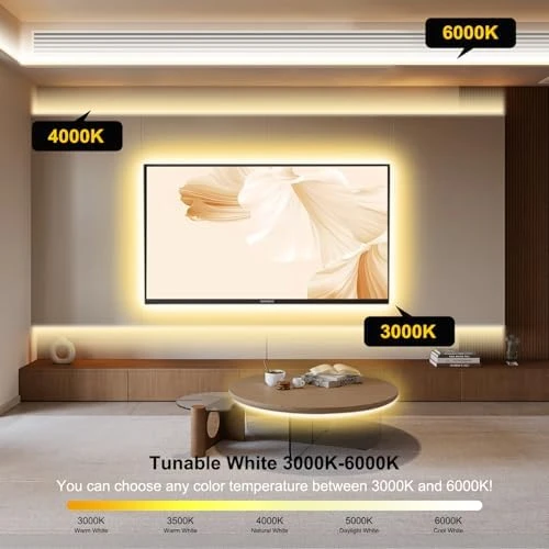 COB LED Strip Light with CCT Dimmable — LED Strip Lights, Pandery
