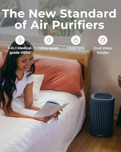 Air Purifier - 3-In-1 Filtration for Dust, Smoke, & More — Air Purifier, Windmill