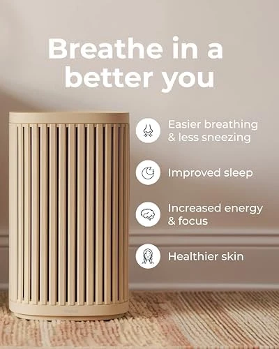 Air Purifier - 3-In-1 Filtration for Dust, Smoke, & More — Air Purifier, Windmill