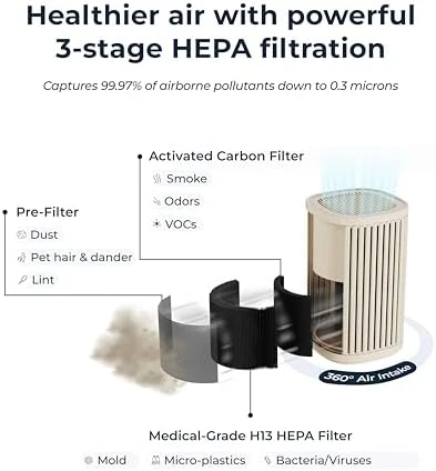 Air Purifier - 3-In-1 Filtration for Dust, Smoke, & More — Air Purifier, Windmill