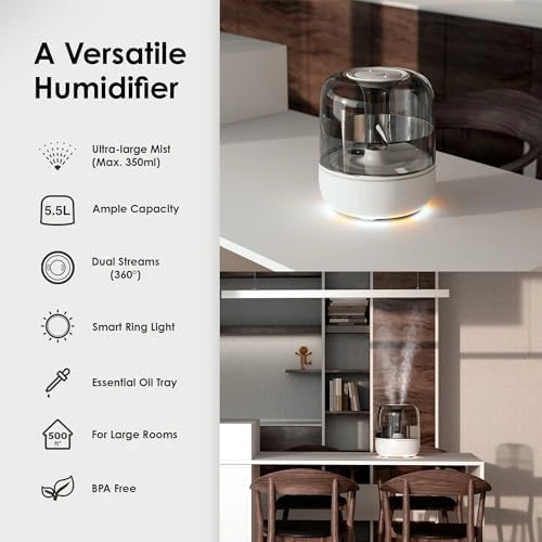 Humidifier — Humidifier, Airversa