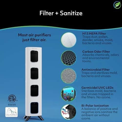 iAdapt 2.0 H13 HEPA Filter Air Purifier — Air Purifier, Air Oasis