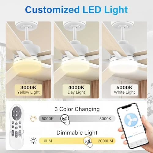 52" Smart Ceiling Fan with Lights — Smart Fan, Lorpies