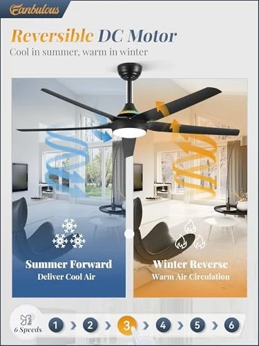56'' Smart Ceiling Fan with RGB Lights — Smart Fan, Fanbulous