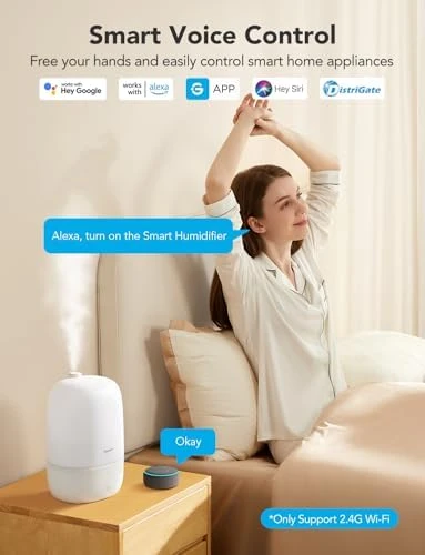Mini Air Purifier Bundle with Smart Humidifiers — Air Purifier, GoveeLife