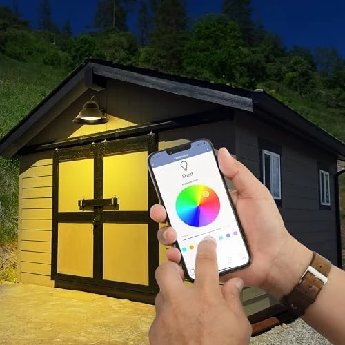 PAR38 Smart Flood Light Bulb — Smart Light Bulb, Feit Electric