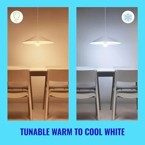 A19 Tunable White LED Smart Bulb — Smart Light Bulb, WiZ