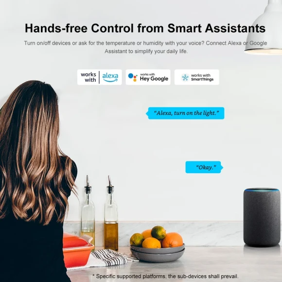 Zigbee Bridge Pro Smart Gateway — Smart Home Hub, Sonoff