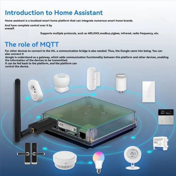 Smart Gateway Zbdongle-E Universal Bridge — Smart Home Hub, ABGH