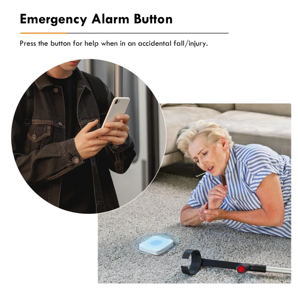 Smart Scene Controller Button Switch — Smart Home Hub, GIRIER