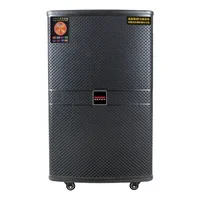 15-Inch Trolley DJ Karaoke Speaker with Bluetooth TWS — Karaoke Machine, Temeisheng