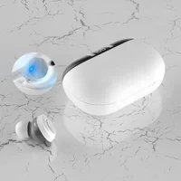 True Wireless Bluetooth Earbuds with UV Sterilization — Wireless Earbuds