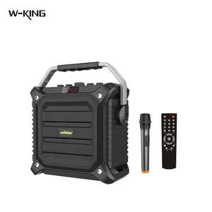 Bluetooth Karaoke Speaker with Wireless Megaphone — Karaoke Machine, W-KING
