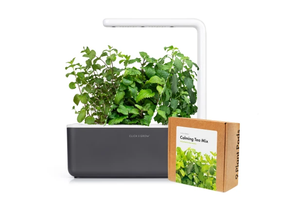 Herbal Tea Growing Kit — Indoor Garden, Click & Grow