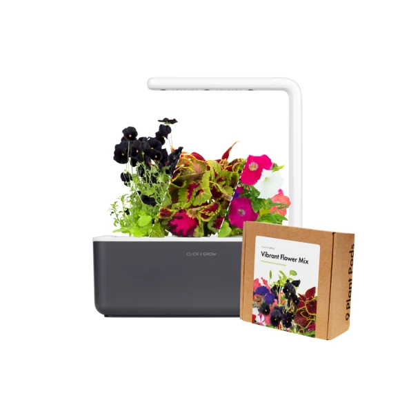 Indoor Flower-Growing Kit — Indoor Garden, Click & Grow