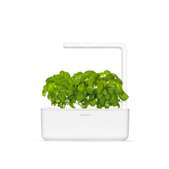 Indoor garden — Indoor Garden, Click & Grow