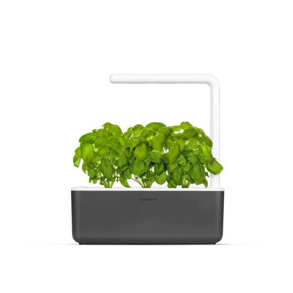 Indoor garden — Indoor Garden, Click & Grow