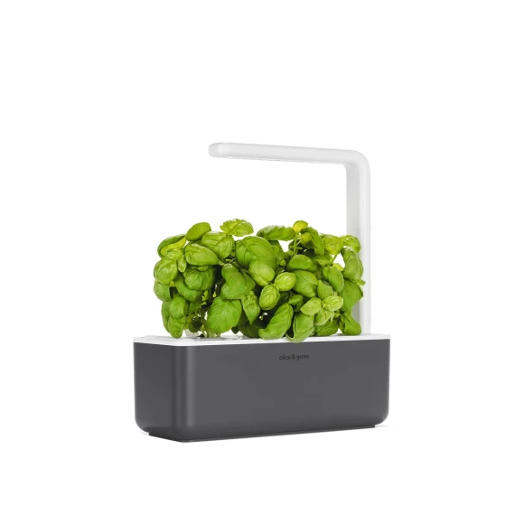 Indoor garden — Indoor Garden, Click & Grow