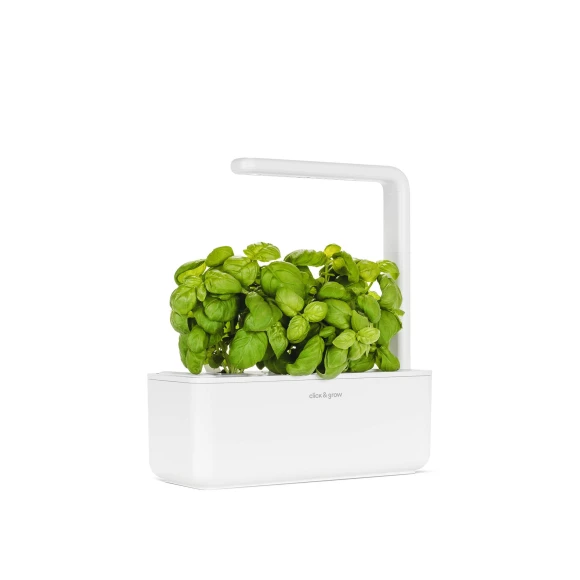 Indoor Garden — Indoor Garden, Click & Grow